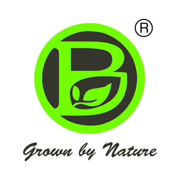 Bhalsar Seeds logo