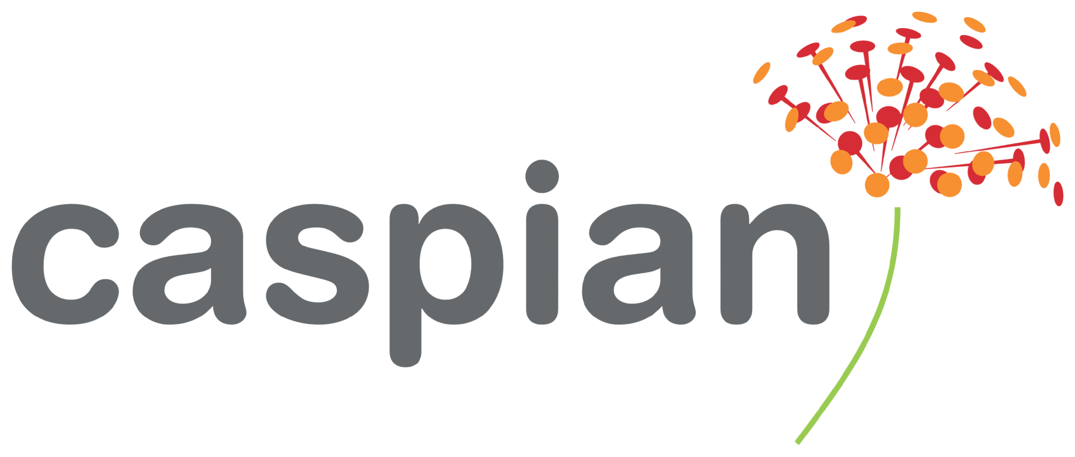 Caspian Seeds logo